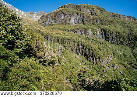 The Towering Lava Columns Of The Dieffenbach Cliffs At The Lower Slopes Of Mt Taranaki During Pouaka