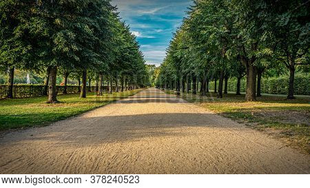 A Beautiful Attractive Designed Tree Lane On Road