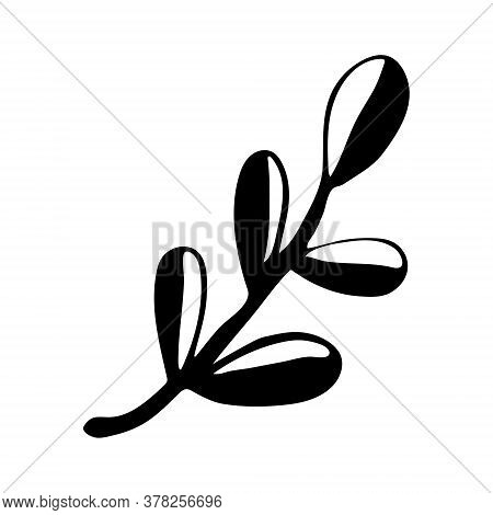 Vector Doodle Illustration Of Potherbs. Hand Drawn Healthy Farm Vegetable Isolated On White Backgrou