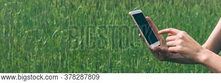 Smartphone In The Hands Of A Girl