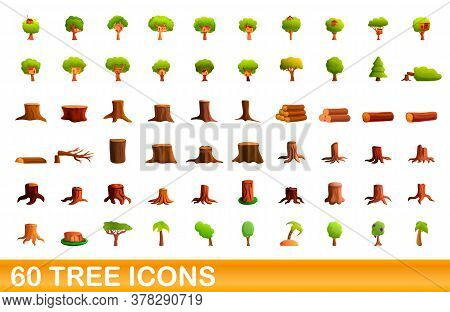 60 Tree Icons Set. Cartoon Illustration Of 60 Tree Icons Vector Set Isolated On White Background