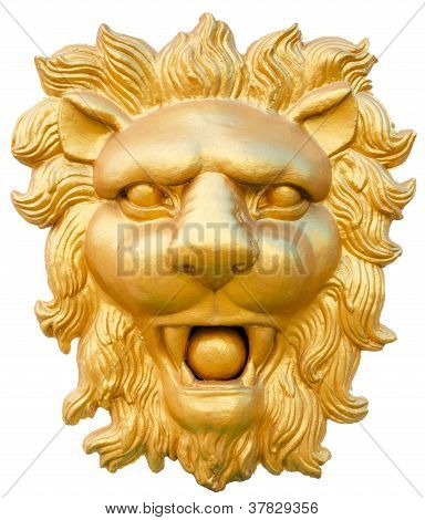 Golden Lion Head
