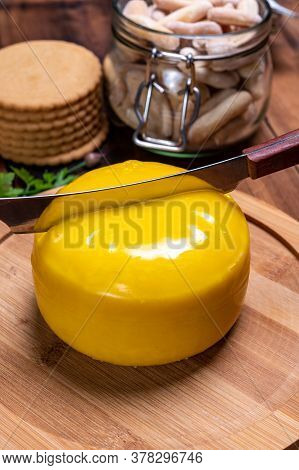 Dutch Baby Gouda Cheese In Yellow Wax Close Up