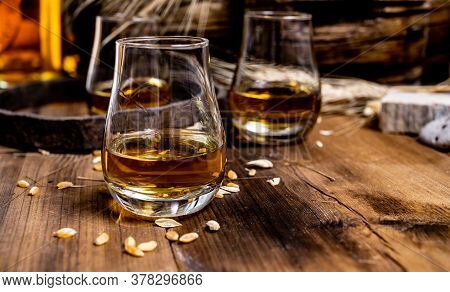 Speyside Scotch Whisky Tasting On Old Dark Wooden Vintage Table With Barley Grains Close Up