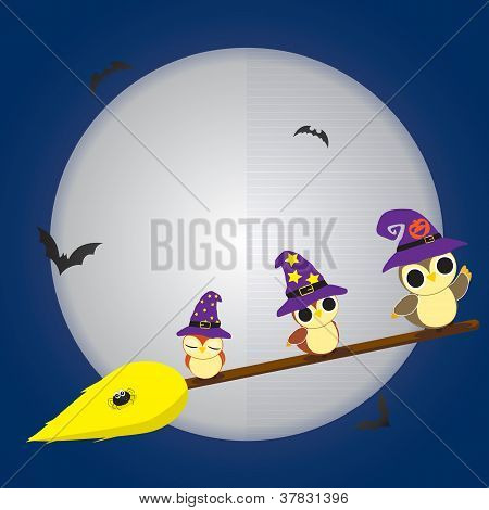 Halloween sovy