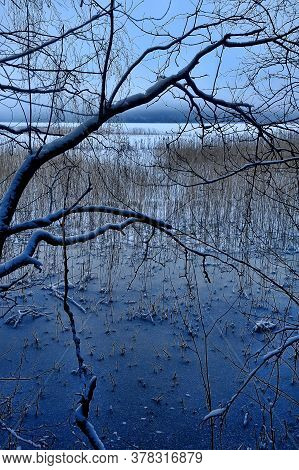 Trees Covered With Snow On The Shore