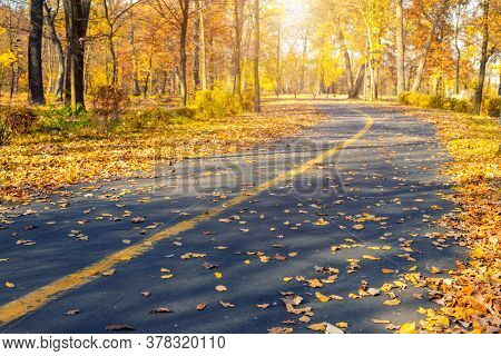 Painted Bicycle And Pedestrian Symbol With Arrow On Asphalt Road At City Street Or Park On Autumn Da