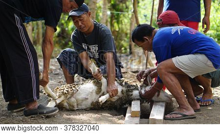 Yogyakarta, Indonesia - August 11th 2019: Eid Al-adha Celebration. Muslim People Help Each Other In 