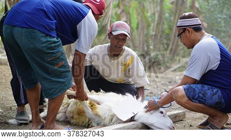 Yogyakarta, Indonesia - August 11th 2019: Eid Al-adha Celebration. Muslim People Help Each Other In 