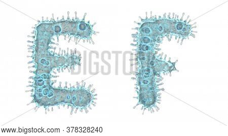 Set of letters made of virus isolated on white background. Capital letter E, F. 3d rendering. Covid font 3d