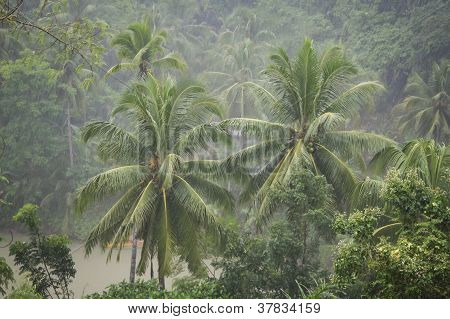 Pioggia torrenziale sul fiume Loboc Bohol Filippine