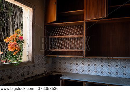 Interior Of An Old Abandoned House Kitchen With Damaged Wooden Furniture And Blooming Flower On The 