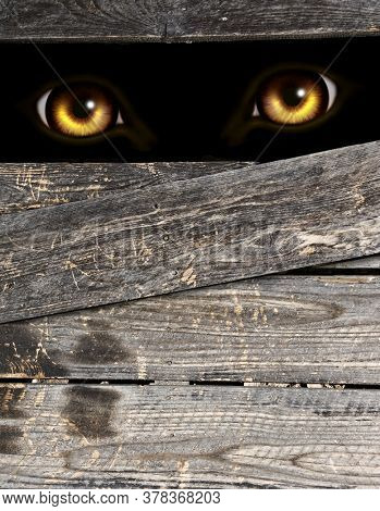 Vertical Halloween background with old wooden boards and eyes of monster in dark. Werewolf peeking from behind a wooden fence. Mock up template. Copy space for text. 3d render