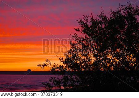 Sunset Over The Lake And Tree Branches On The Foreground
