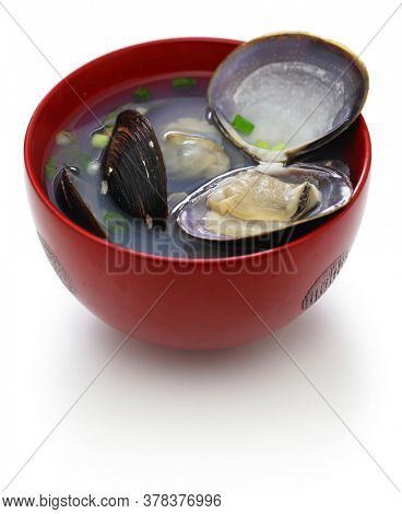 ooshijimi jiru, big size japanese basket clams soup, japanese cuisine