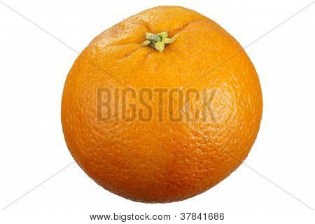 Orangenfrucht