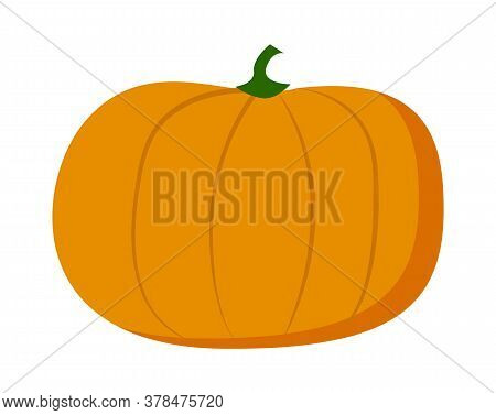 Orange Pumpkin Isolated At White Background. Farm Vegetable, Web Icon, Natural Food. Halloween Veget
