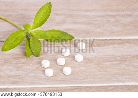 Sweetener Made Of Stevia In The Bottom Of Wood - Stevia Rebaudiana