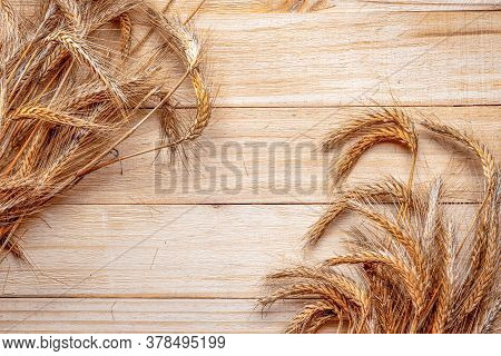 Oats Field. Wheat Grain Ear Or Rye Spike Plant Isolated On Brown Wood Plank Background, For Cereal B