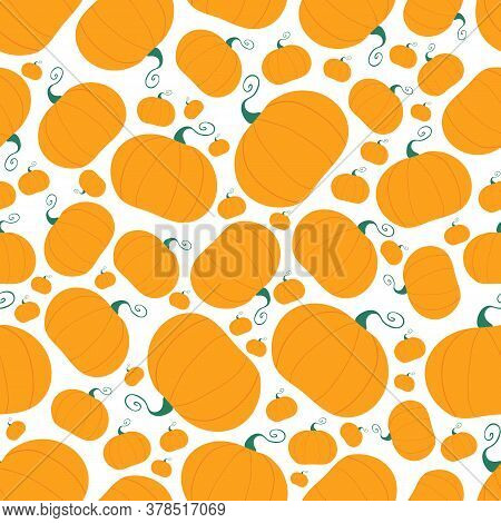 Pumpkin Seamless Pattern. Harvest Concept. Isolated On White Background. Vector Stock Illustration.