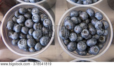 Group Of Fresh Blueberries Isolated. Fullframe Shot Of Blueberry.