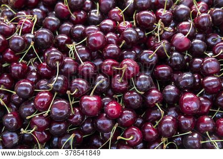 Close Up Of Pile Of Ripe Cherries With Stalks And Leaves. Large Collection Of Fresh Red Cherries. Ri