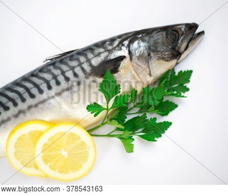 Mackerel Fish Isolated On A White Background.