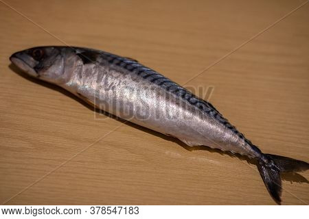 Fresh Mackerel Is Lying On A Wooden Table