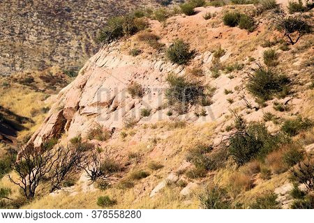 Arid Bluff Covered With Sandstone Rocks And Chaparral Shrubs Where The Mojave Desert And Chaparral W