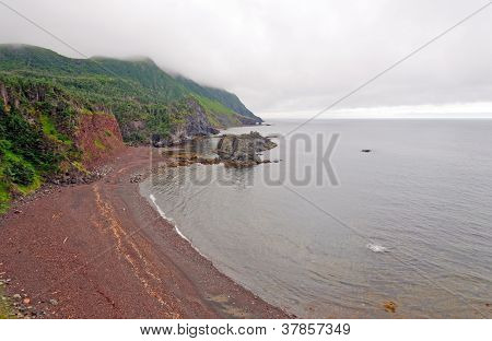 Morgen tåge på kysten af Newfoundland