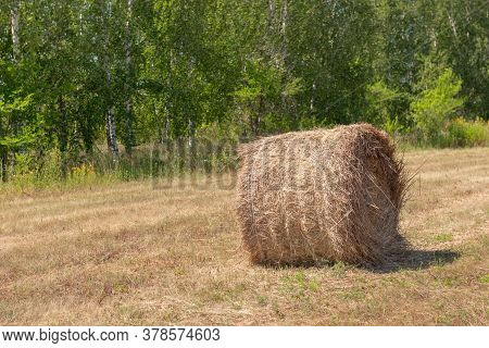 Haystack Rolls On Agriculture Field Landscape. Haystack Harvesting Field.