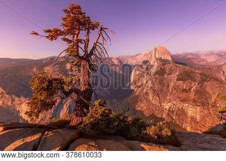 Sunset Panorama With Tree At Glacier Point In Yosemite National Park, California, United States. Vie