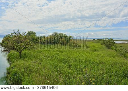 The Wetlands Of Isola Della Cona In Friuli-venezia Giulia, North East Italy