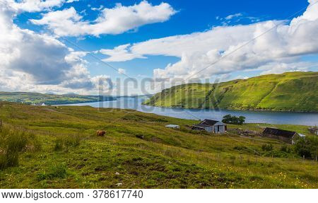A View Across The Hills To Loch Harport On The Isle Of Skye, Scotland, With A Highland Cow Grazing