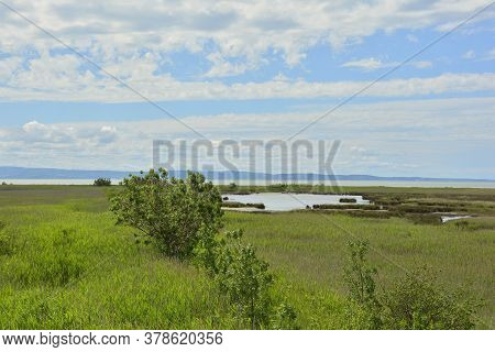 The Wetlands Of Isola Della Cona In Friuli-venezia Giulia, North East Italy