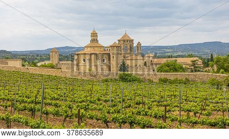 View Over Vineyard To Monastery Of Poblet In Spain In Summer