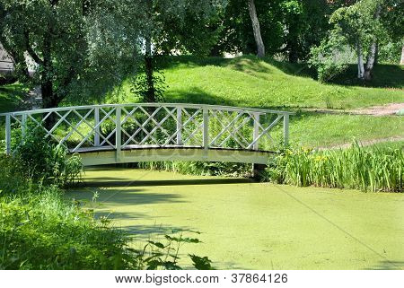 El puente al otro lado del Charco.