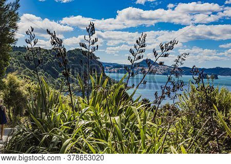 View Over Cliffy Shore Of Te Whanganui-a-hei Marine Reserve On Northern Island In New Zealand In Sum