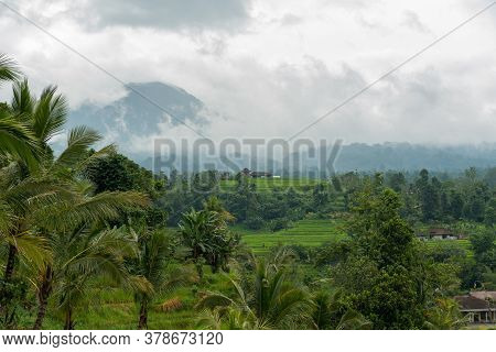 Jatiluwih, Bali Indonesia - April 22, 2013: View Of Jatiluwih Mountain Region Of Bali Island. The Pl