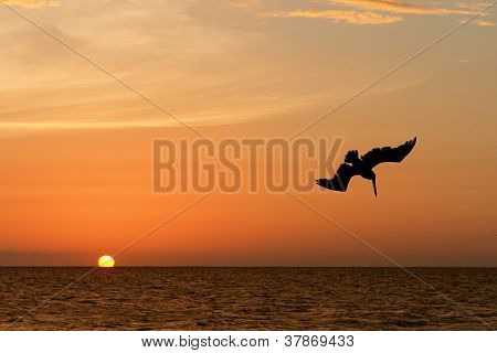 Beautiful Sunset in Yucatan