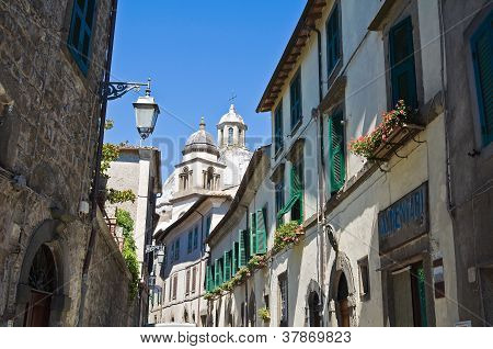 Gyde. Montefiascone. Lazio. Italien.