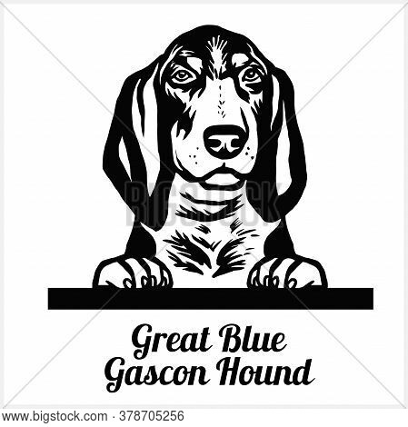 Great Blue Gascon Hound - Peeking Dogs - Breed Face Head Isolated On White