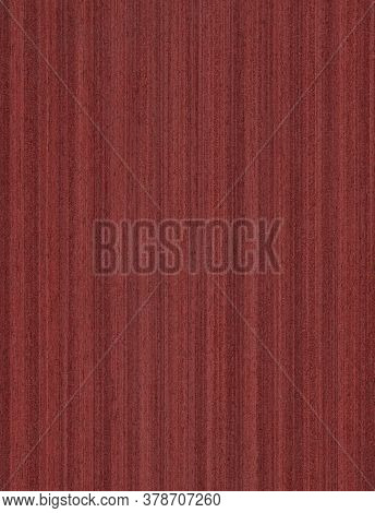 Acero Mapletop View Wooden Wall Material Burr Surface Texture Background Pattern Dark Red Brown Colo
