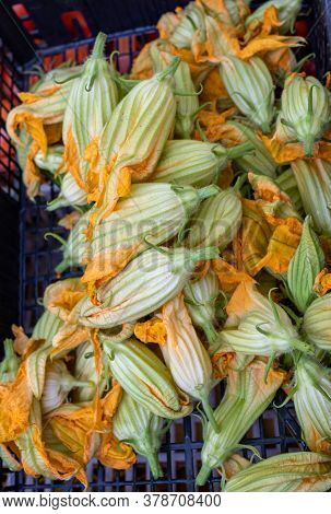 Fresh Zucchini Flowers At A Farmers Market In Italy