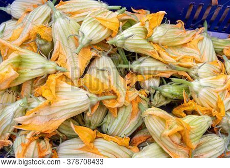 Fresh Zucchini Flowers At A Farmers Market In Italy