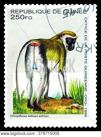 Stavropol, Russia - July 30. 2020 : A Stamp Sheet Printed In Guinea Shows  Monkey  Ladybugs  (cercop