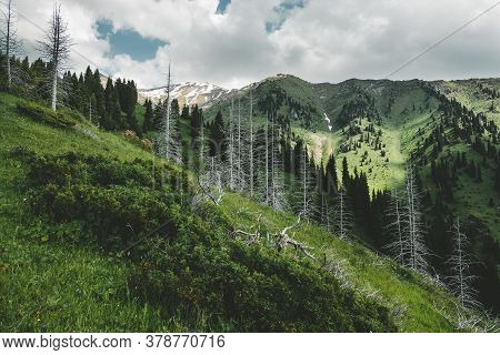 Mountain Furmanov Peak In Summer Landscape With Dead Trunks Of Fir In Almaty, Kazakhstan, Zailiysky 