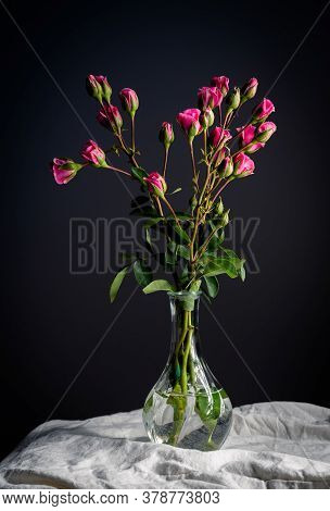 Red Roses Flowers In Vase. Flower In Vase Still Life. Flowers For Postcard And Home Decoration. Beau