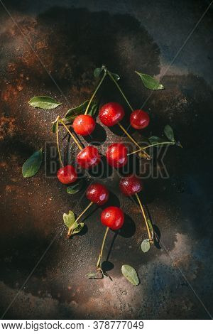 Ripe Cherries With Dew Drops On A Dark Background In The Rays Of Morning Light. Cottagecore Aestheti