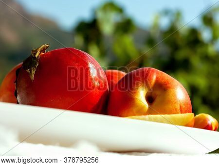 Red Ripe Organic Nectarine Fruits On The White Plate On Nature Background. Summertime Healthy Eating
